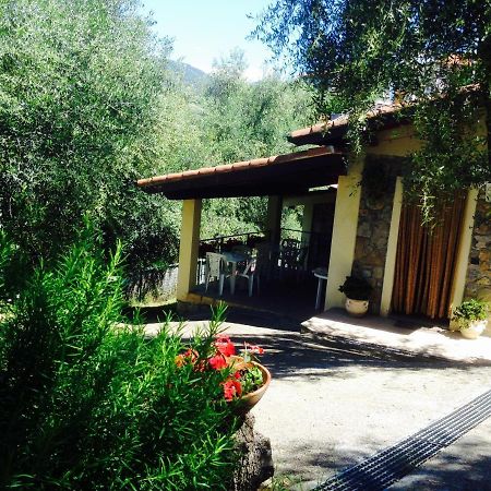 Casa Vacanze Uliveto Bordighera Exterior foto